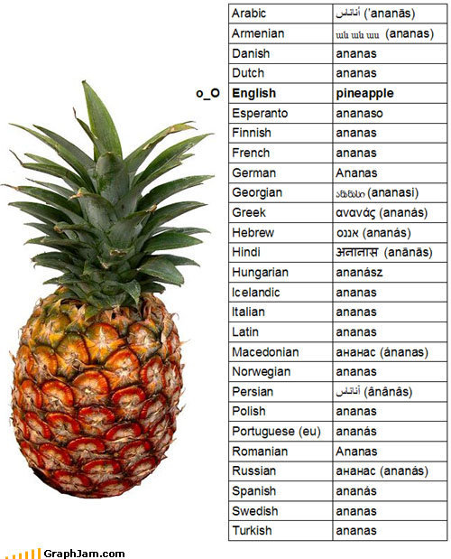 pineapple_ananas.jpg