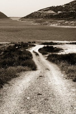 Road to the lake