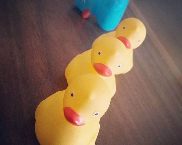 Trying to get my ducks in a row… Almost